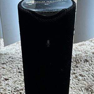 Alexa Bluetooth speaker